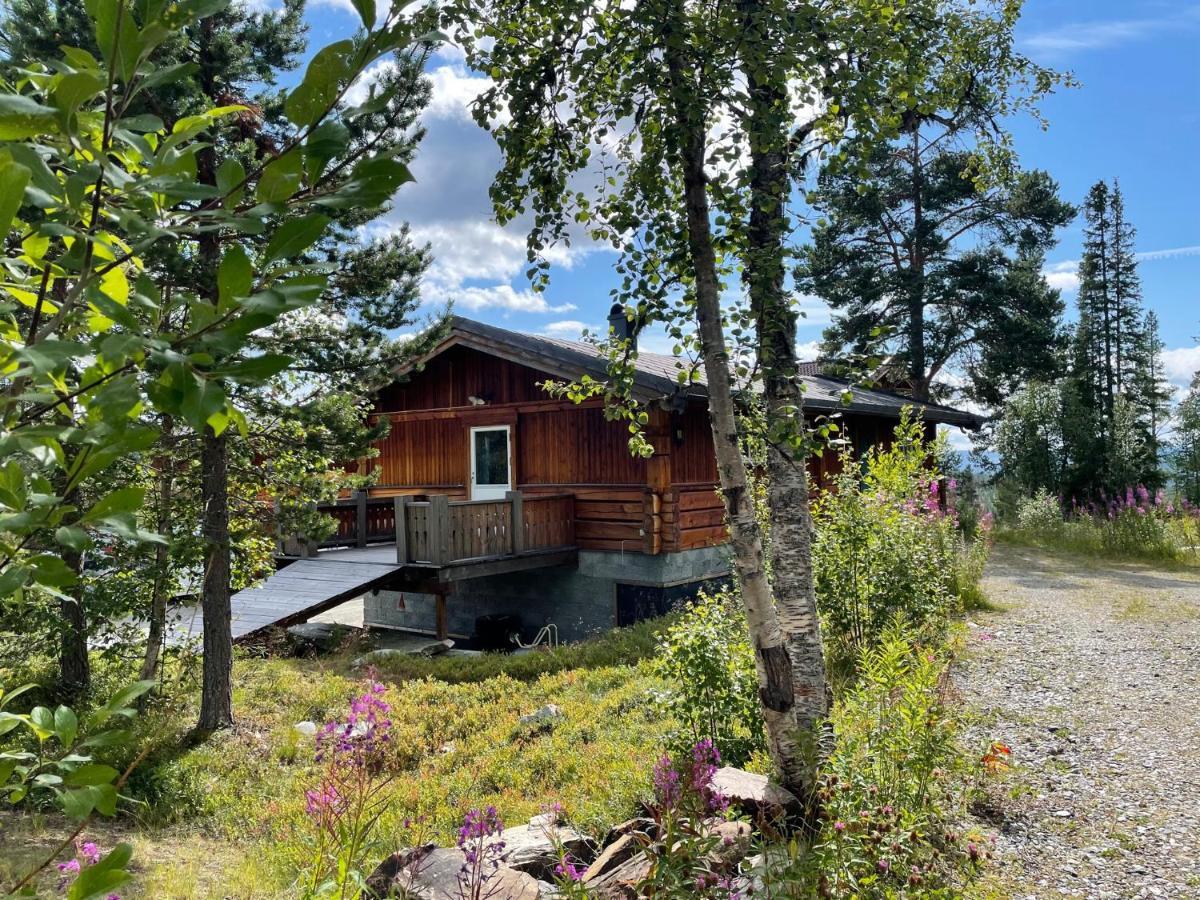 Masaplassen Friisvegen Mountain Lodge Ringebu Zewnętrze zdjęcie