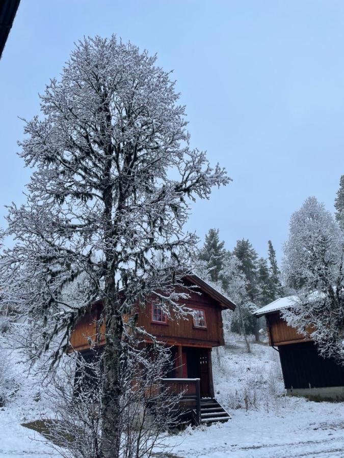 Masaplassen Friisvegen Mountain Lodge Ringebu Zewnętrze zdjęcie