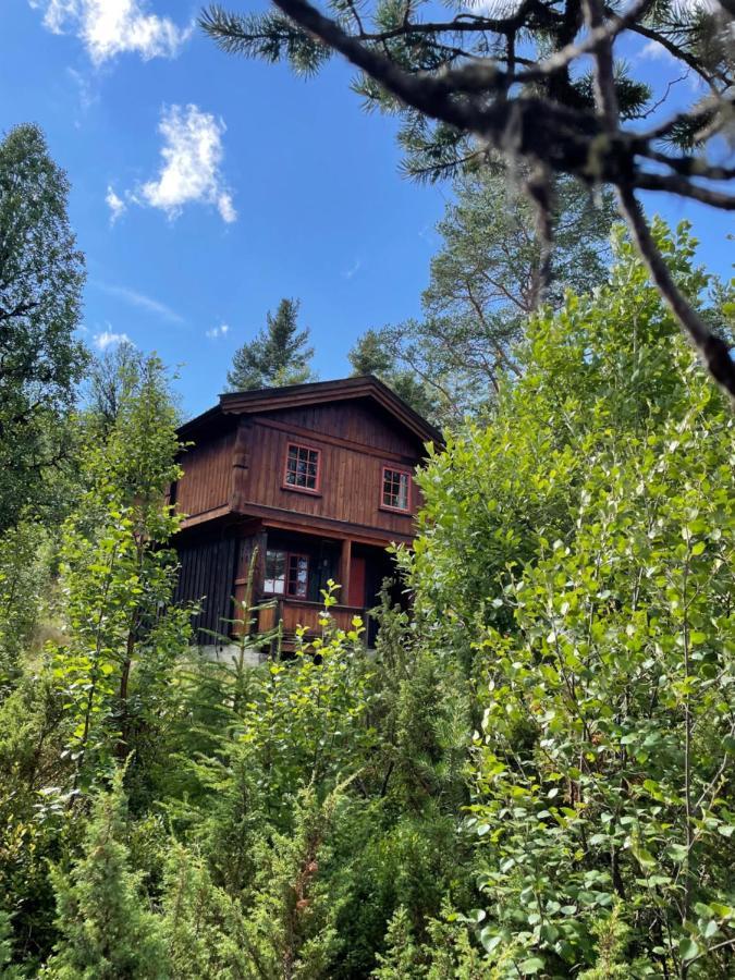 Masaplassen Friisvegen Mountain Lodge Ringebu Zewnętrze zdjęcie