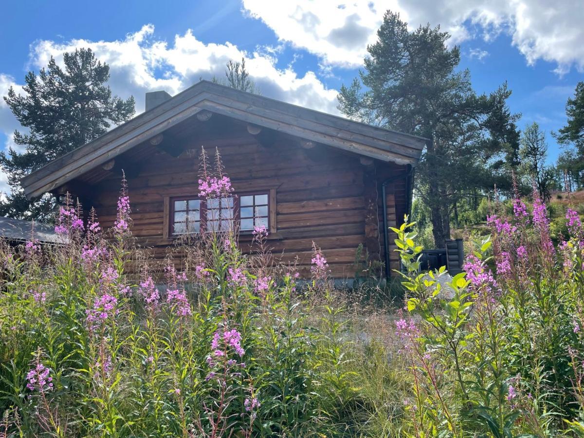 Masaplassen Friisvegen Mountain Lodge Ringebu Zewnętrze zdjęcie