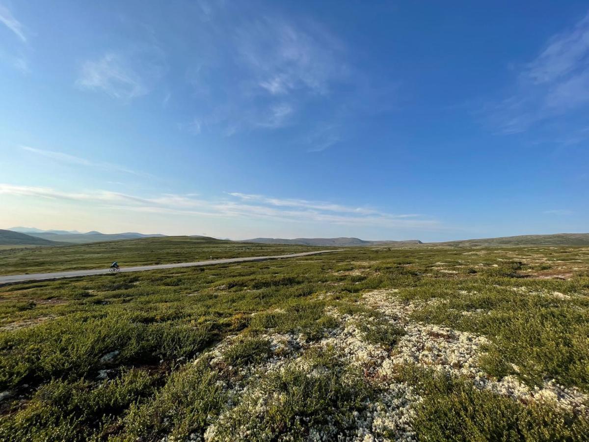 Masaplassen Friisvegen Mountain Lodge Ringebu Zewnętrze zdjęcie