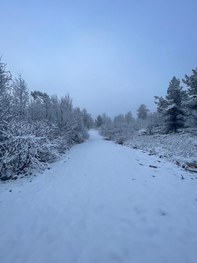 Masaplassen Friisvegen Mountain Lodge Ringebu Zewnętrze zdjęcie