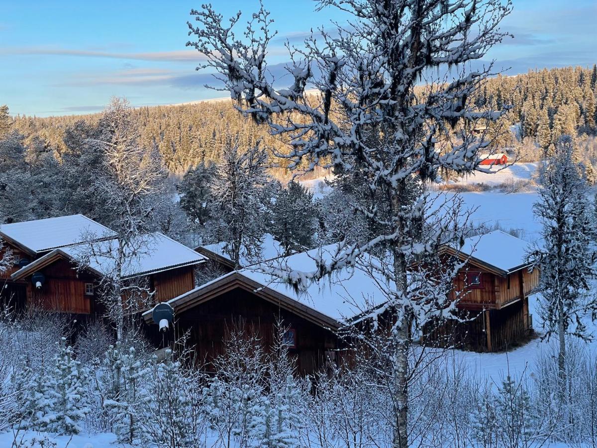 Masaplassen Friisvegen Mountain Lodge Ringebu Zewnętrze zdjęcie