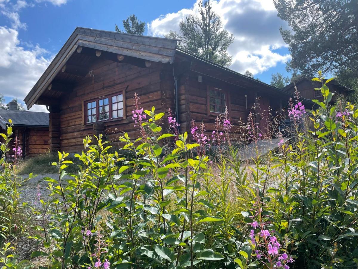 Masaplassen Friisvegen Mountain Lodge Ringebu Zewnętrze zdjęcie