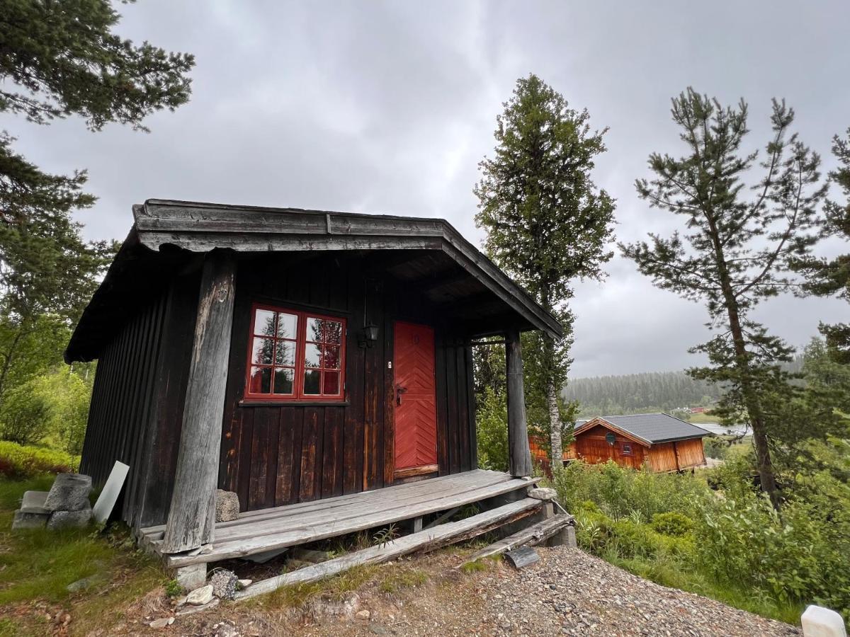 Masaplassen Friisvegen Mountain Lodge Ringebu Zewnętrze zdjęcie