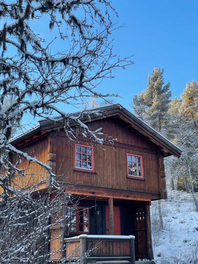 Masaplassen Friisvegen Mountain Lodge Ringebu Zewnętrze zdjęcie