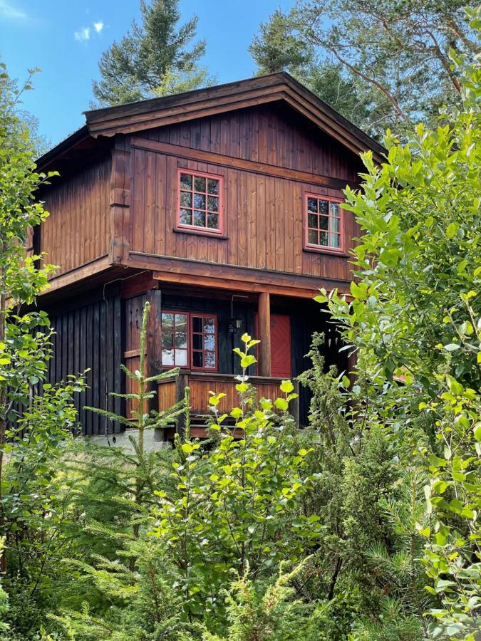 Masaplassen Friisvegen Mountain Lodge Ringebu Zewnętrze zdjęcie