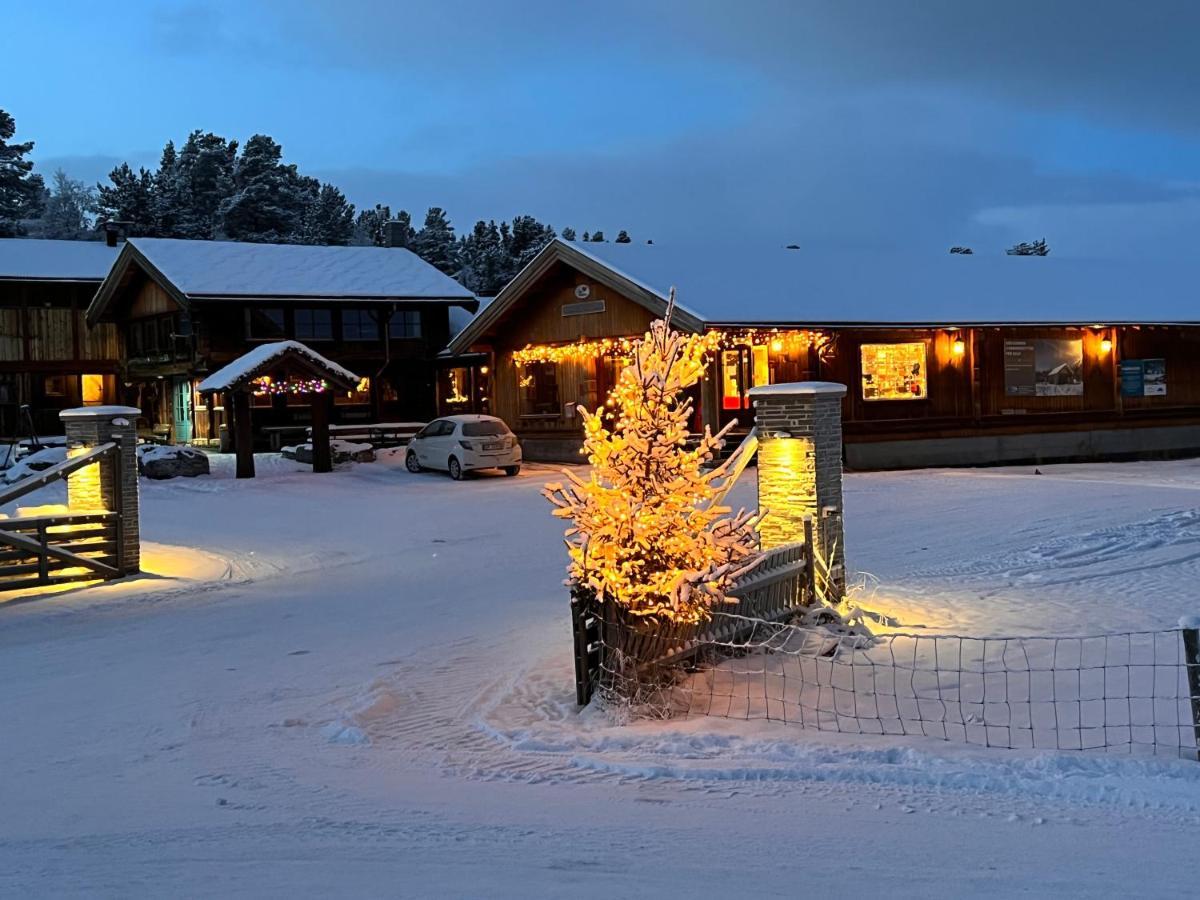 Masaplassen Friisvegen Mountain Lodge Ringebu Zewnętrze zdjęcie