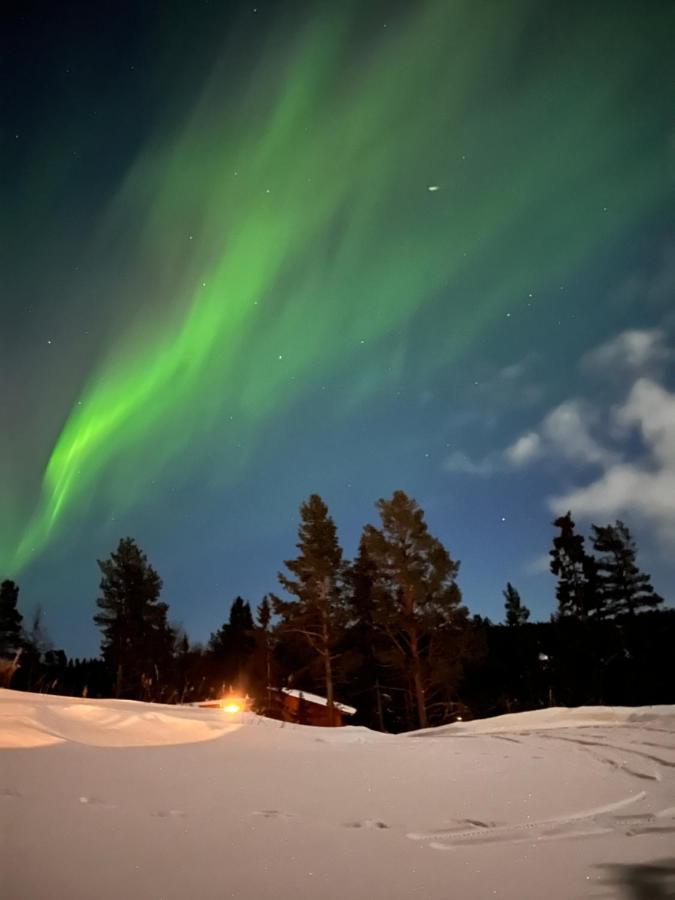 Masaplassen Friisvegen Mountain Lodge Ringebu Zewnętrze zdjęcie