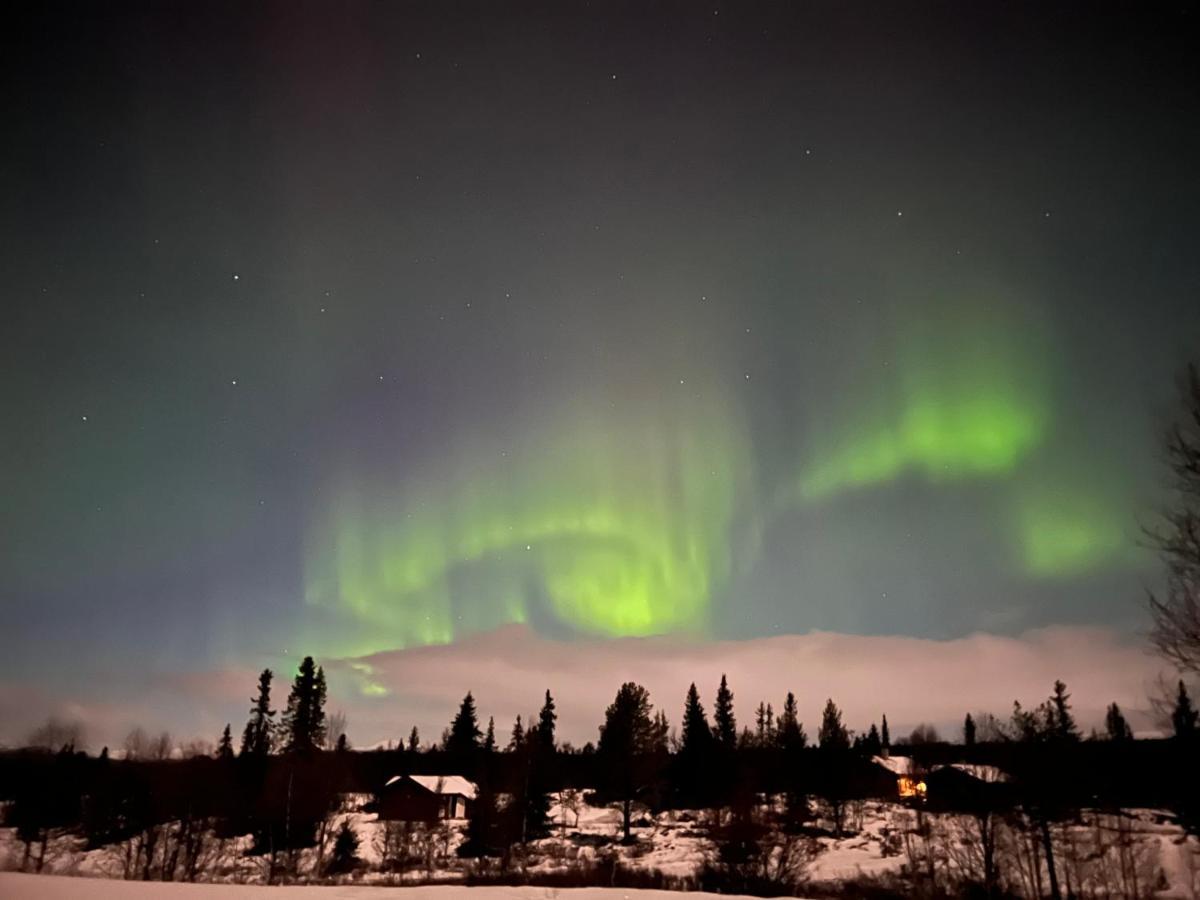 Masaplassen Friisvegen Mountain Lodge Ringebu Zewnętrze zdjęcie