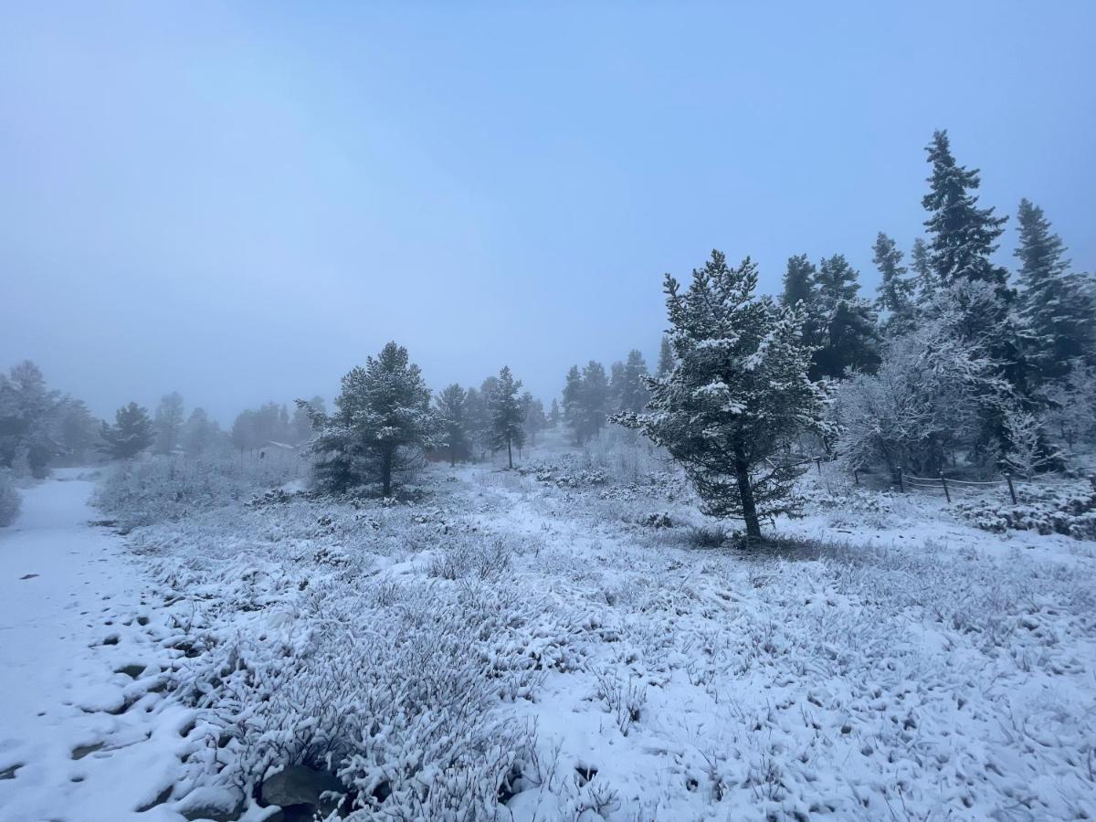 Masaplassen Friisvegen Mountain Lodge Ringebu Zewnętrze zdjęcie