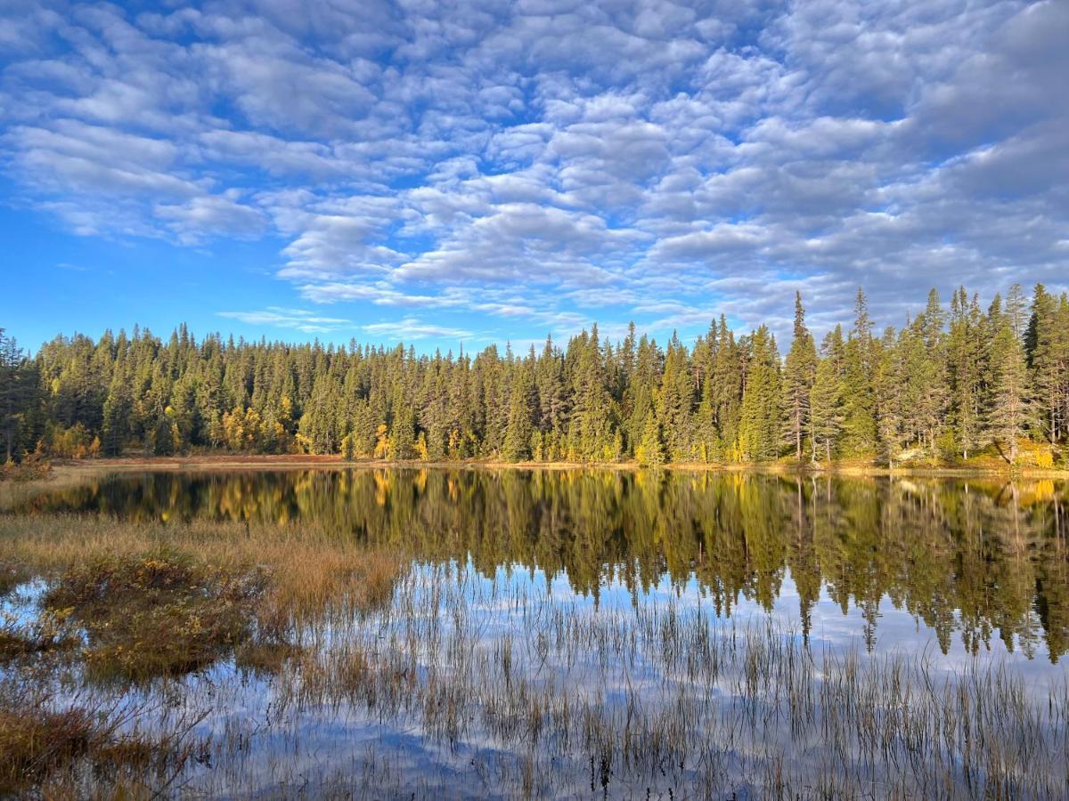 Masaplassen Friisvegen Mountain Lodge Ringebu Zewnętrze zdjęcie