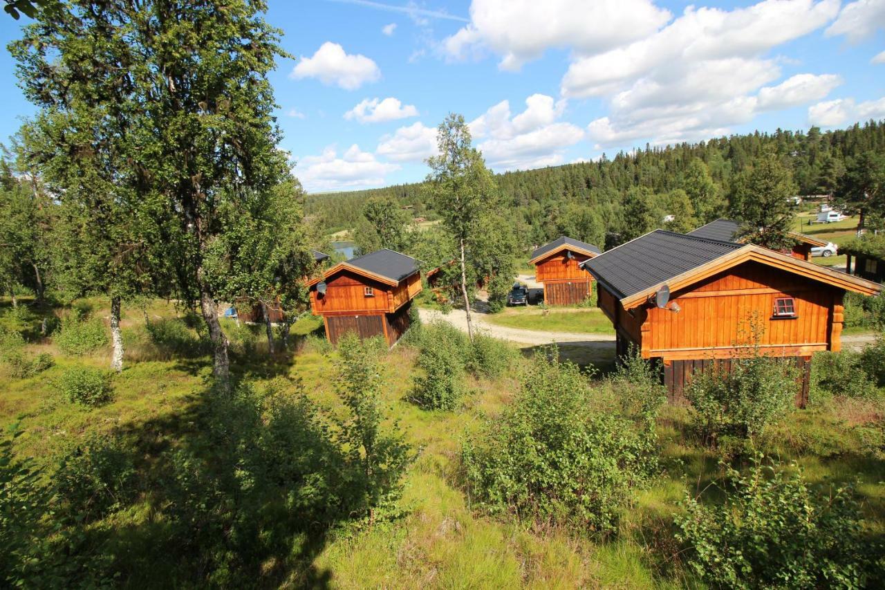 Masaplassen Friisvegen Mountain Lodge Ringebu Zewnętrze zdjęcie