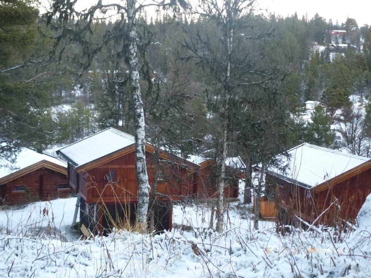 Masaplassen Friisvegen Mountain Lodge Ringebu Zewnętrze zdjęcie