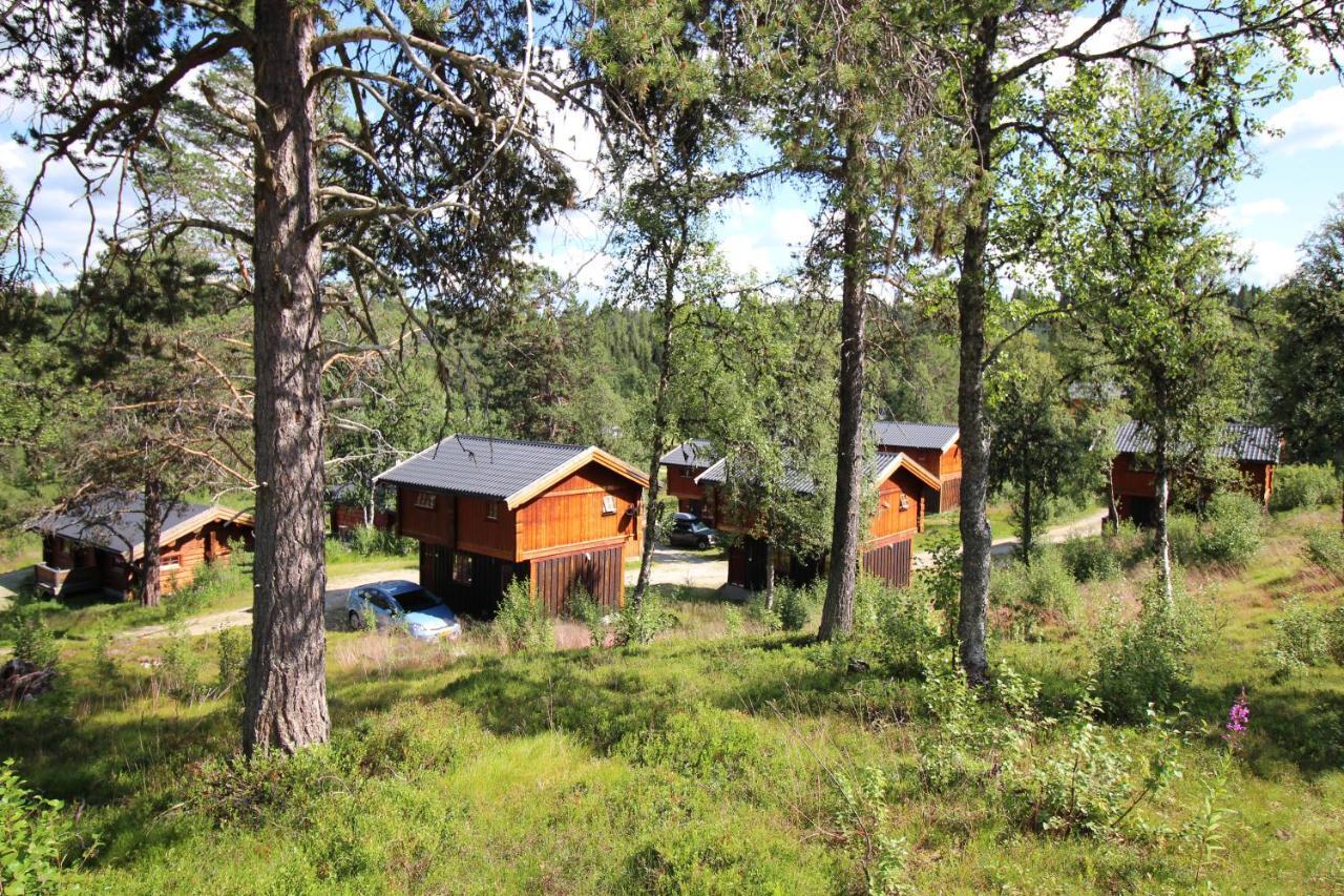 Masaplassen Friisvegen Mountain Lodge Ringebu Zewnętrze zdjęcie