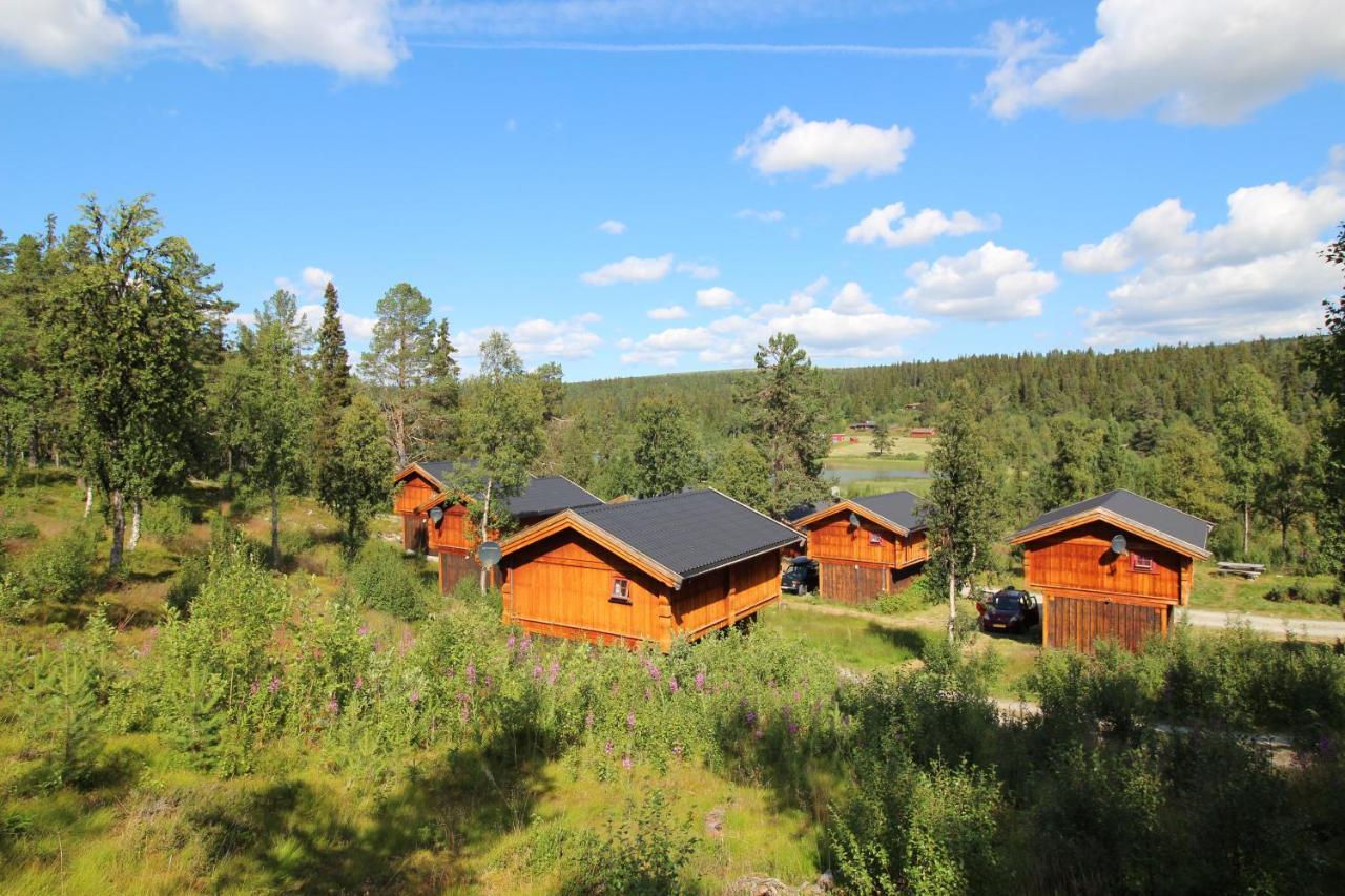 Masaplassen Friisvegen Mountain Lodge Ringebu Zewnętrze zdjęcie