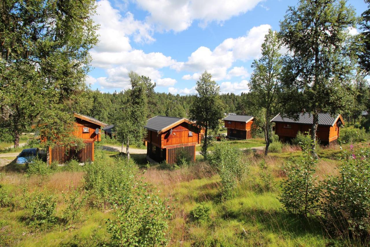 Masaplassen Friisvegen Mountain Lodge Ringebu Zewnętrze zdjęcie