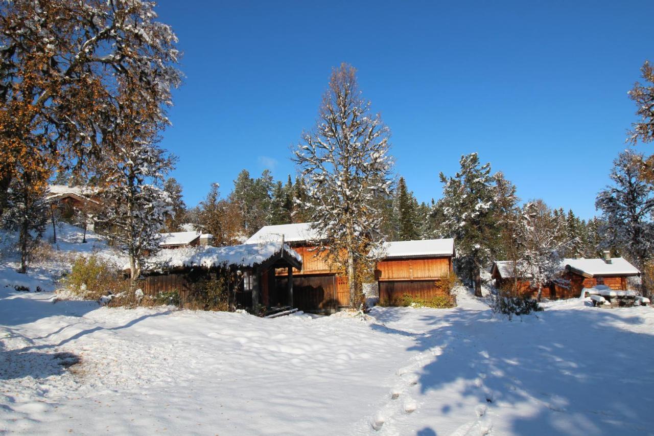 Masaplassen Friisvegen Mountain Lodge Ringebu Zewnętrze zdjęcie