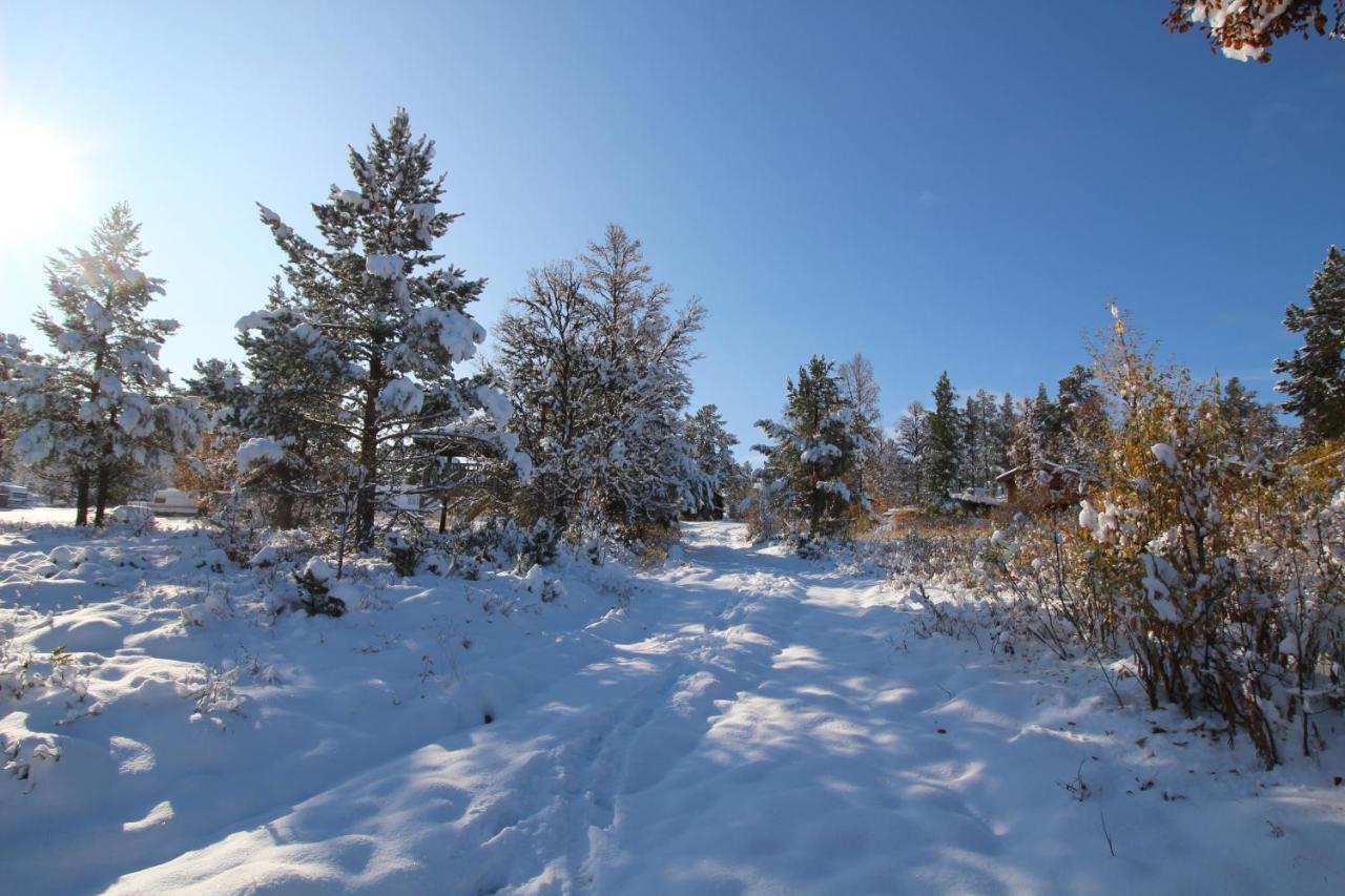 Masaplassen Friisvegen Mountain Lodge Ringebu Zewnętrze zdjęcie