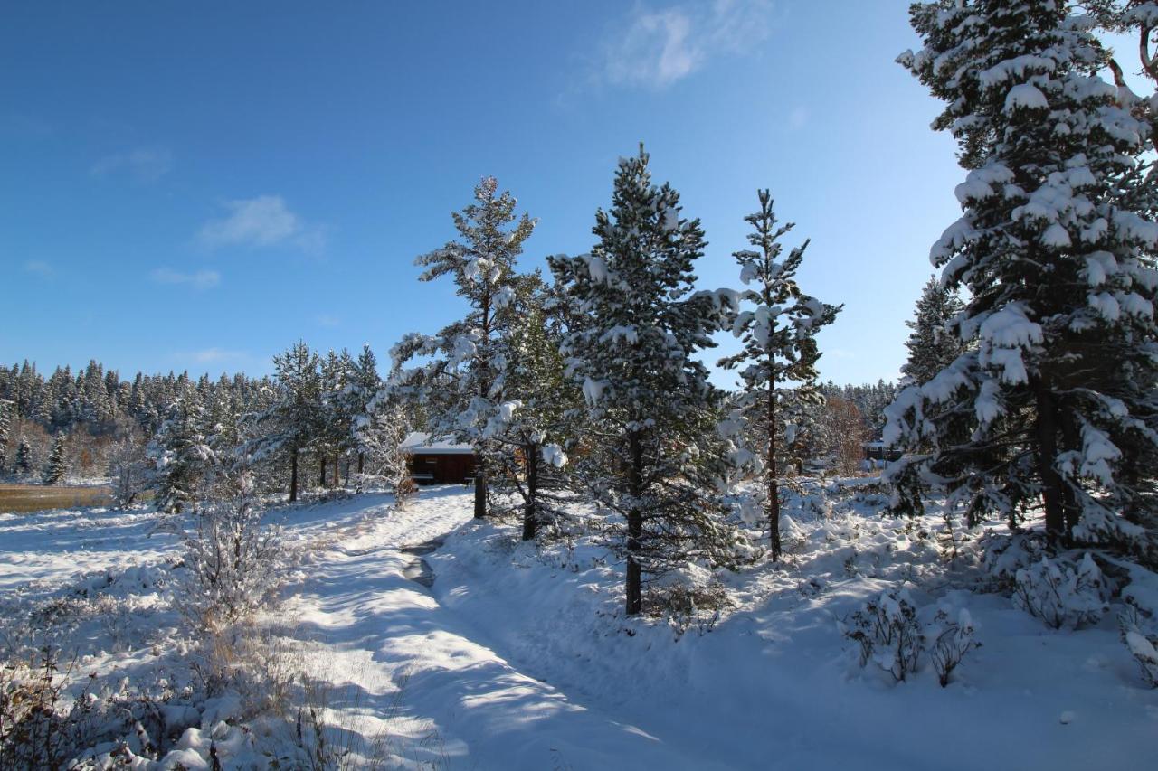 Masaplassen Friisvegen Mountain Lodge Ringebu Zewnętrze zdjęcie