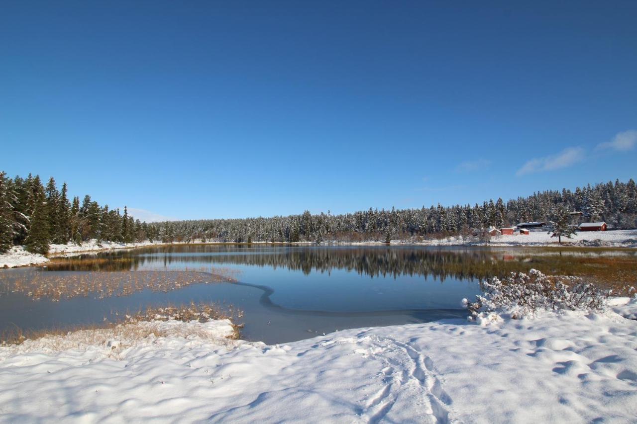 Masaplassen Friisvegen Mountain Lodge Ringebu Zewnętrze zdjęcie